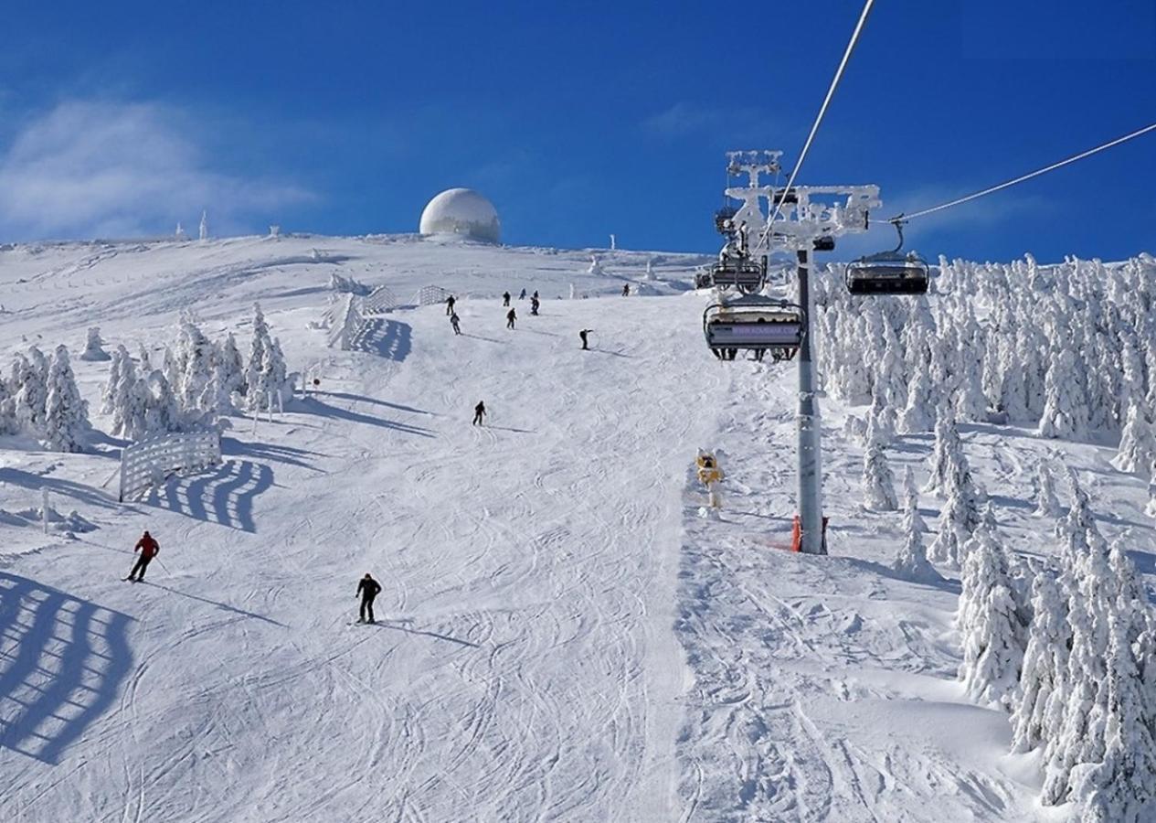 Hotel Olga Dedijer Kopaonik Exterior foto